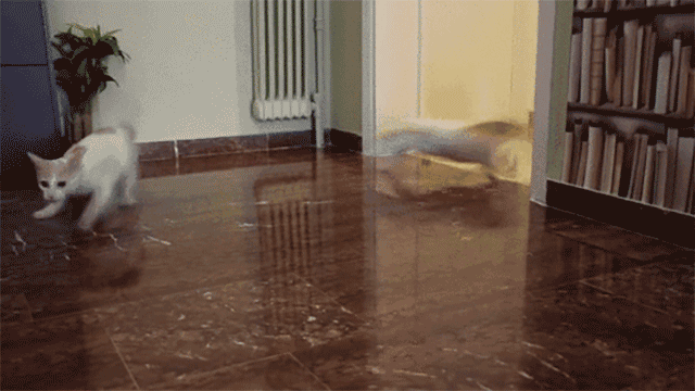 tumblr_nu9ofaiCUf1sqx8y7o10_540[1].gif