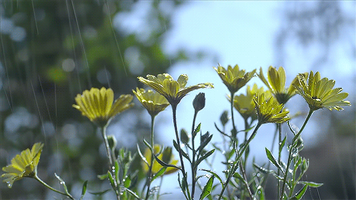 tumblr_o5xm70P7fn1ris665o1_500[1].gif