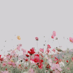 tumblr_obq0xel2K51ska9nxo1_250.gif