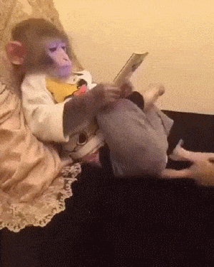 tumblr_oho2uxa9e61uuyy36o1_400.gif