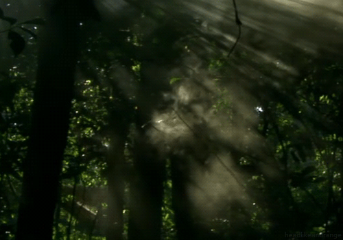 tumblr_static_filename_640_v2[1].gif
