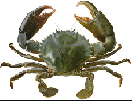 upload_2017-11-19_9-44-29.png