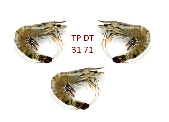 upload_2017-12-11_5-15-21.png