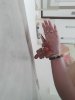 upload_2022-10-27_17-8-11.jpeg