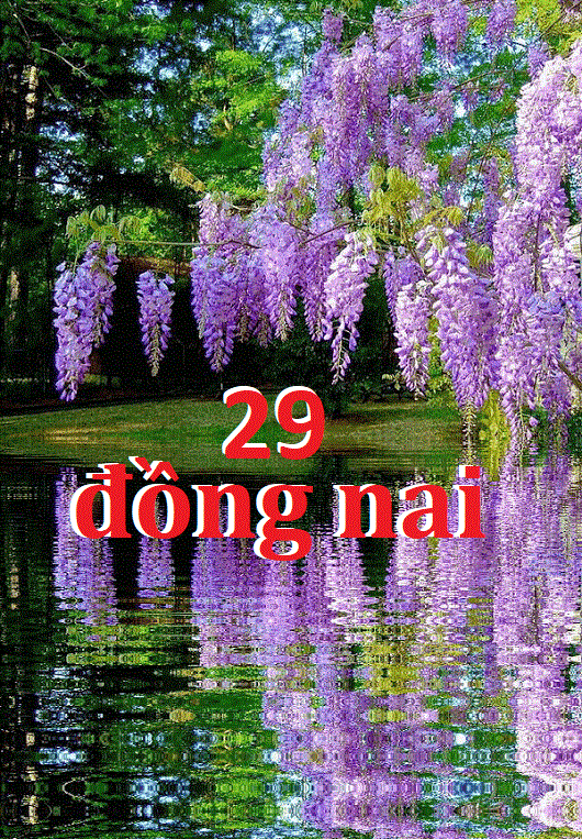 upload_2022-5-24_21-53-32.gif