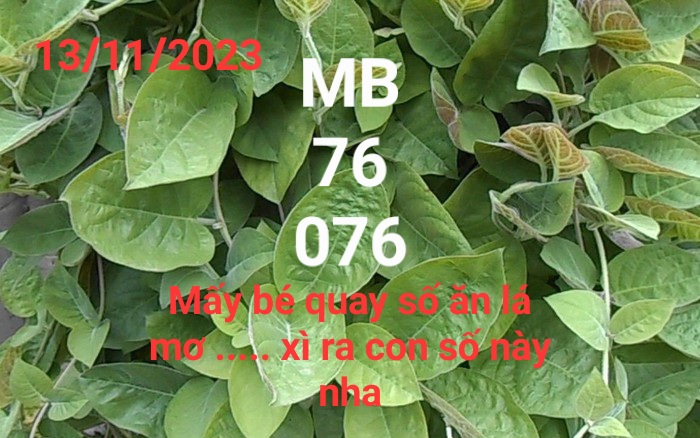 upload_2023-11-12_21-55-41.png