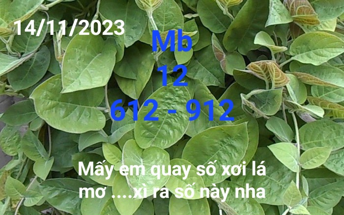 upload_2023-11-13_21-22-29.png