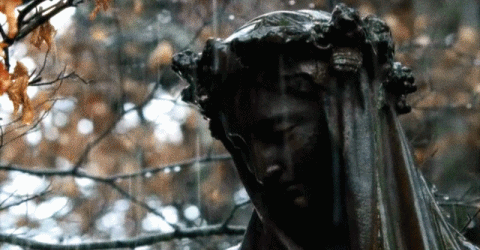 upload_2026-8-13_20-35-9.gif