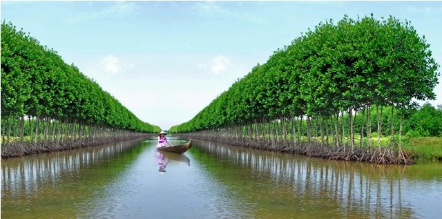 ve-may-bay-di-ca-mau[1].jpg
