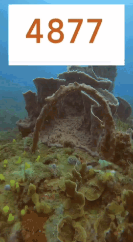 VID_20260807_123011.gif