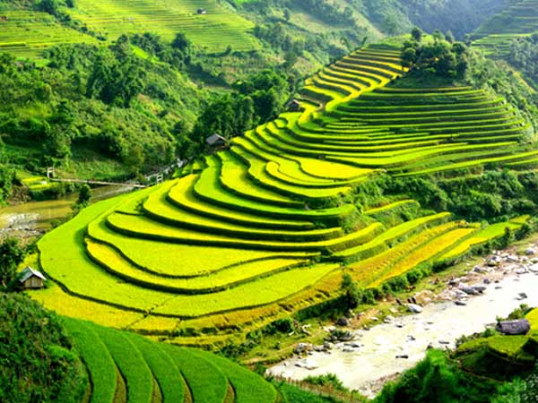 vietnam[1].jpg