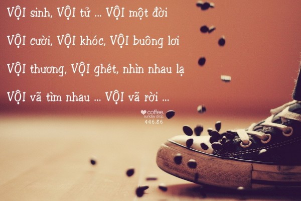 Voi-600x400.jpg
