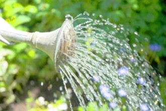 waterwisePicture-330x220[1].jpg