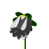 white_tulip_flower.gif