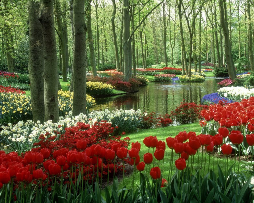 Woods_And_Stream-wallpaper-8827928.jpg