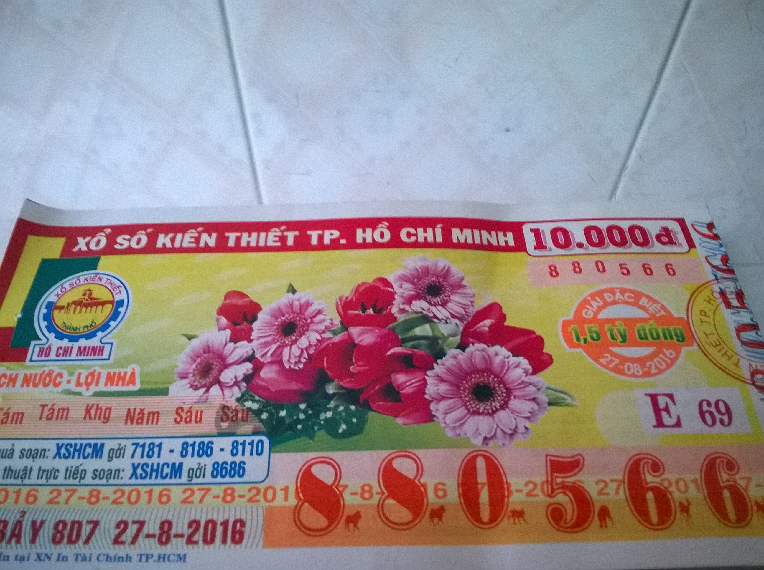 WP_20160827_002.jpg