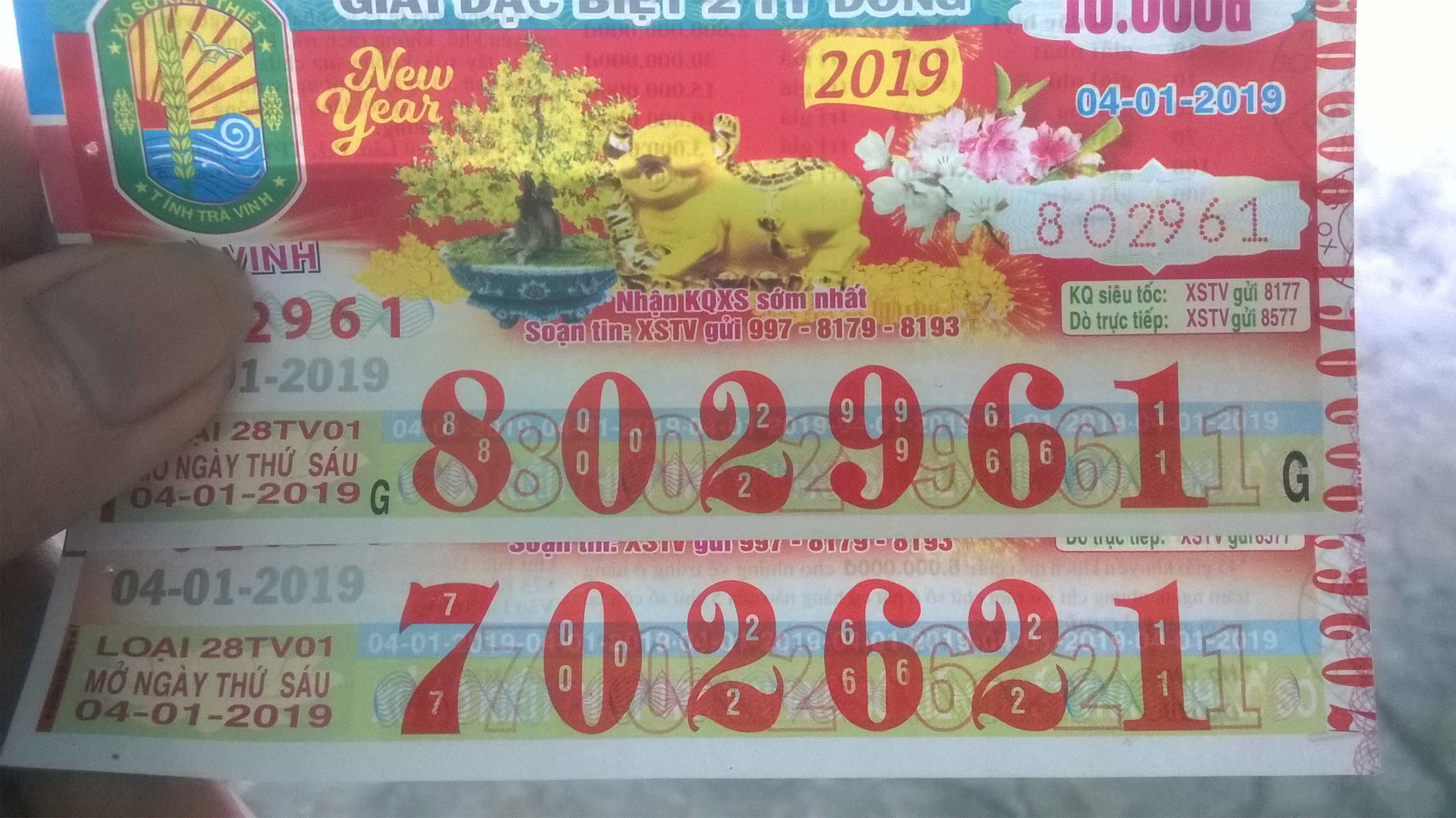 WP_20190104_07_43_59_Pro.jpg