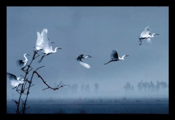 wp_ss_20160622_0001.png