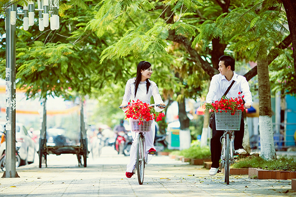 xe-dap-va-hoa-phuong[1].jpg