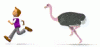 ostrichliamcj5.gif