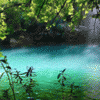6.gif