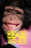 237406.jpg