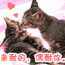72.gif