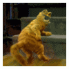 cavt45e4ed4256c2d.gif