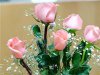 40069196-62446sm.jpg