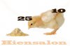 ist2_4623130-baby-chicken-having-a-meal.jpg