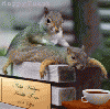 omg.gif