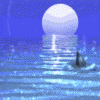 avatar_722.gif