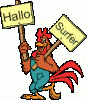 animal-graphics-chickens-802081.gif