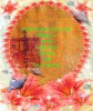 Chieu Chi So De.jpg