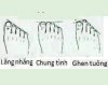 langnhang.jpg