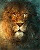 hinh-dong-dt-lion.81825.gif