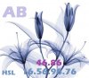 x-rayed-flowers10.jpg