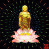4dc4db4e_3ce70b69_dd7d9a54.gif