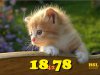 27340cbede.jpg