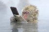 upload_2017-11-16_21-3-28.jpeg