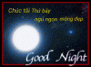 IMG_8495.GIF