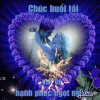 IMG_8551.GIF