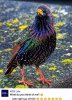 IMG_8596.JPG