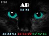 black-cat-bliue-eyes-cat-wallpaper.jpg