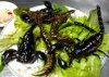 Bò cạp.jpg