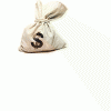 BAOTIEN.gif