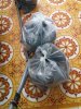 20180212_075814.jpg