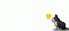 646378xb7pmu4huz.gif
