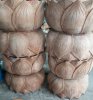 20180721_171657.jpg