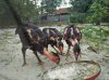 IMG20180803150921.jpg